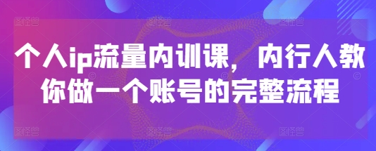 个人ip流量内训课,内行人教你做一个账号的完整流程-老吴出海笔记