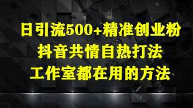 日引流500+精准创业粉，抖音共情自热打法，工作室都在用的方法-老吴出海笔记