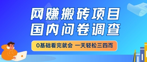 网创搬砖项目,国内问卷调查,小白轻松上手,一天三四张的也不难,干就完了【揭秘】-老吴出海笔记