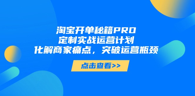 淘宝开单秘籍PRO,定制实战运营计划,化解商家痛点,突破运营瓶颈-老吴出海笔记