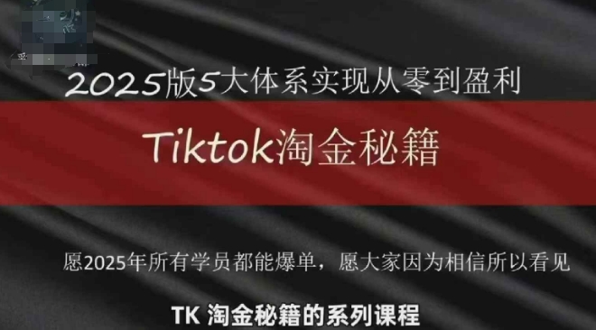 TikTok跨境2025淘金秘籍,2025TikTok从0到盈利变现-老吴出海笔记