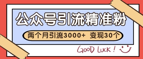 公众号精准粉引流玩法,2个月3000+精准粉,变现30个W【揭秘】-老吴出海笔记