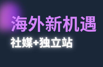棕榈·2025出海新机遇(社媒+独立站)-老吴出海笔记