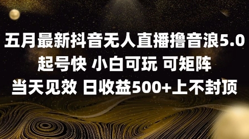 2025五月最新无人直播撸音浪单日产出5张+实操教程【揭秘】-老吴出海笔记
