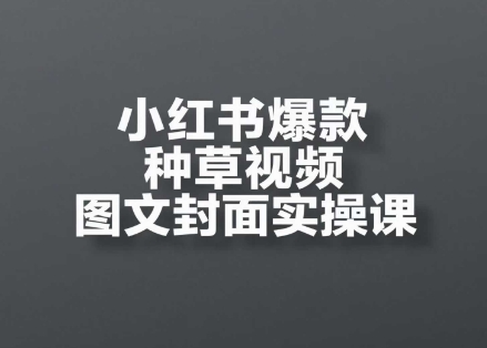小红书爆款种草视频图文封面实操课,开店、选品、引流、变现全流程-老吴出海笔记