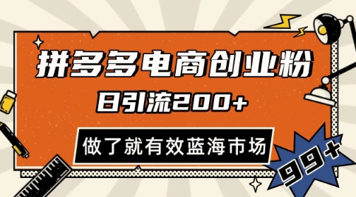 拼多多引流电商创业粉，日引200+，可矩阵放大，做了就有效【揭秘】-老吴出海笔记