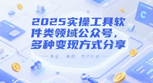 2025实操工具软件类领域公众号,多种变现方式分享-老吴出海笔记