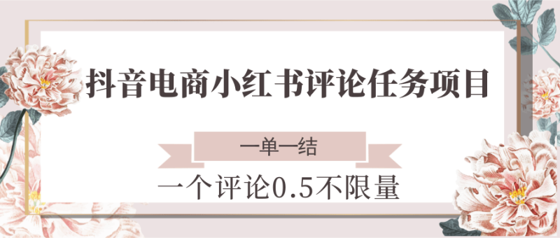 抖音电商小红书评论任务项目，一个评论0.5，一单一结 不限量-老吴出海笔记