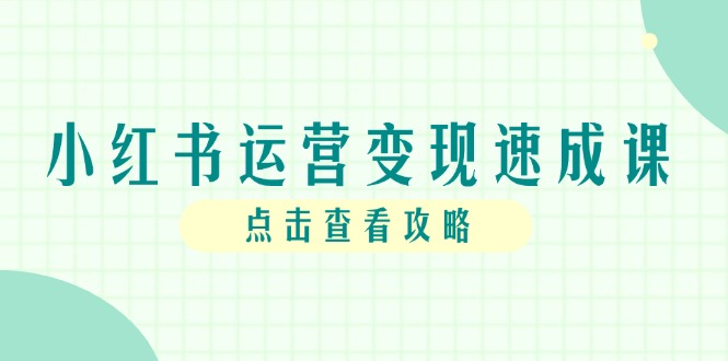小红书运营变现速成课,账号搭建到暴力起号,个人IP全流程指南-老吴出海笔记
