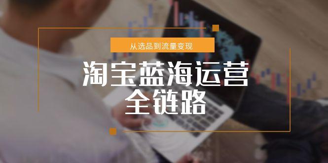 淘宝蓝海运营全链路,从选品到流量变现,小类目突围完整方案-老吴出海笔记