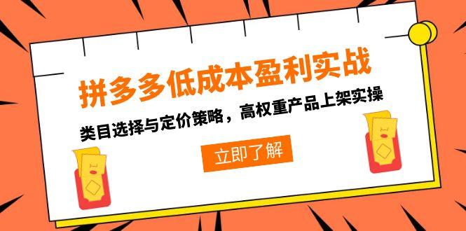 拼多多低成本盈利实战,类目选择与定价策略,高权重产品上架实操-老吴出海笔记