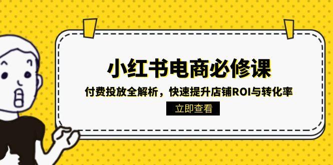 小红书电商必修课:付费投放全解析,快速提升店铺ROI与转化率-老吴出海笔记