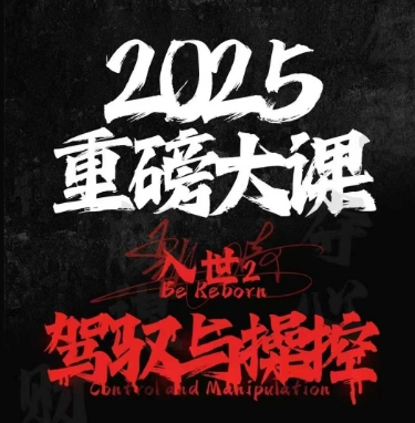 2025重磅大课，入世2，驾驭与控制-老吴出海笔记