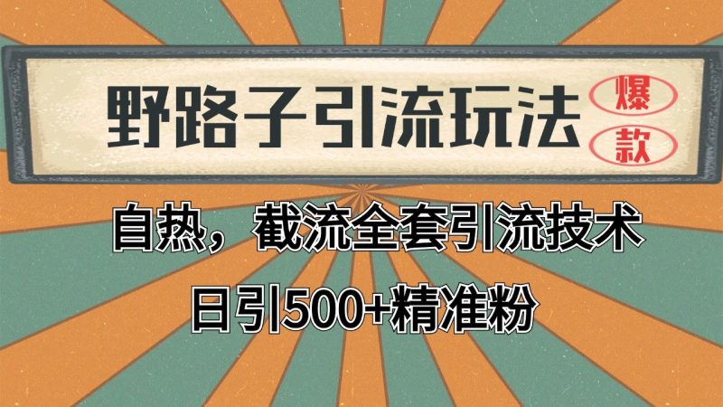 2024首发野路子引流玩法截流自热全平台打法，全自动引流【日引2000+精准客户】-老吴出海笔记