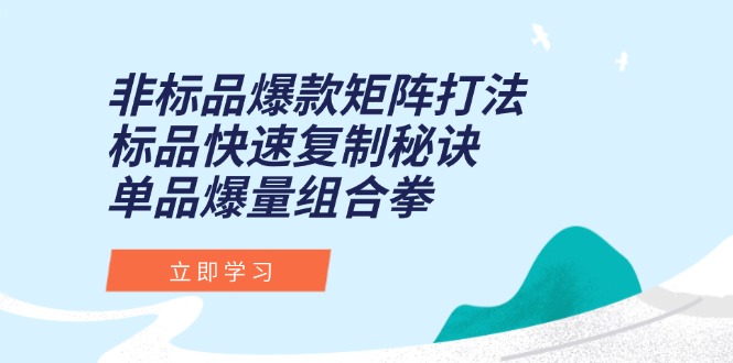 非标品爆款矩阵打法，标品快速复制秘诀，单品爆量组合拳-老吴出海笔记