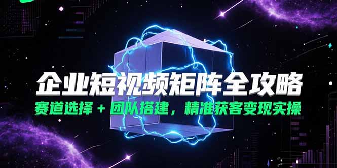 企业短视频矩阵全攻略,赛道选择+团队搭建,精准获客变现实操-老吴出海笔记