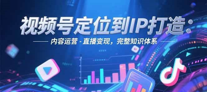 视频号定位到IP打造:账号搭建-内容运营-直播变现,完整知识体系-老吴出海笔记