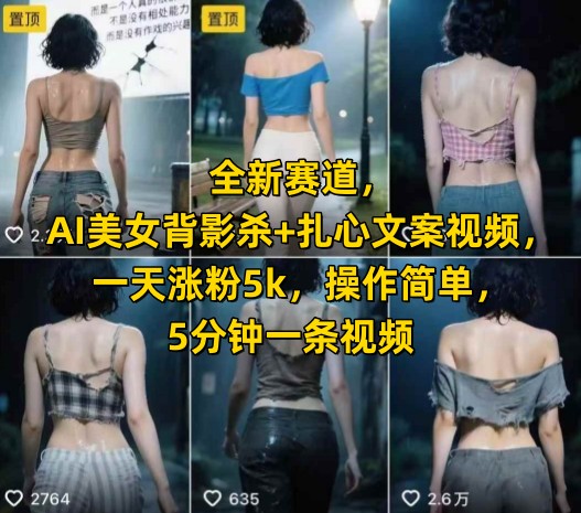 全新赛道,AI美女背影杀+扎心文案视频,一天涨粉5k,操作简单,5分钟一条视频-老吴出海笔记