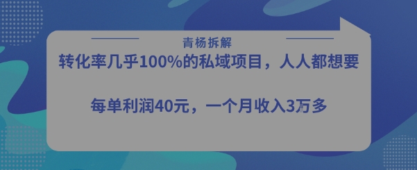 转化率最高的私域项目,每单利润40-50米,月入过1w-老吴出海笔记