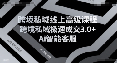 跨境私域线上高级课程,跨境私域极速成交3.0+Ai智能客服-老吴出海笔记