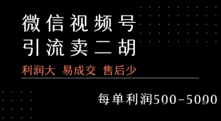 视频号卖二胡教程,利润大 易成交 售后少,一单利润5张+-老吴出海笔记