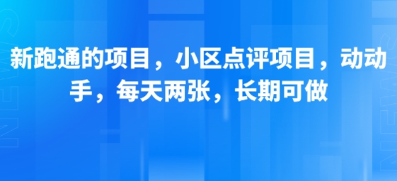 新跑通的项目，小区点评项目，动动手，每天两张，长期可做-老吴出海笔记
