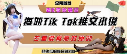 海外tiktok小说推文暴力项目,高停留率,高转化率,上手后一天搞顿饭钱不是问题-老吴出海笔记