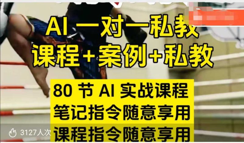 AI指令实战课,课程+案例,80节AI实战课程,笔记指令随意享用,课程指令随意享用(更新7月)-老吴出海笔记