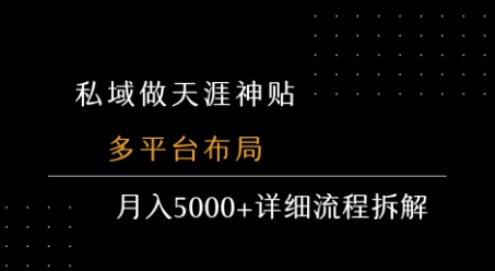 私域做天涯神贴 多平台布局 月入5k+详细流程拆解-老吴出海笔记