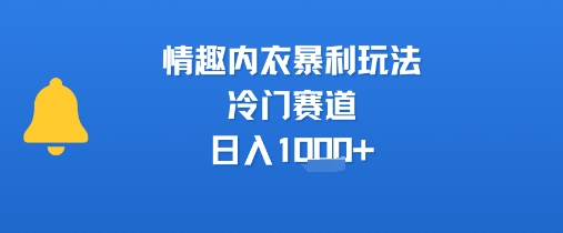 情趣内衣暴利玩法,冷门赛道,日入1k+-老吴出海笔记