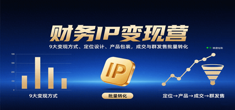 财务IP变现营:9大变现方式、定位设计、产品包装,成交与群发售批量转化-老吴出海笔记