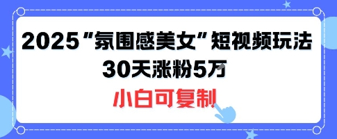 不露脸也能火！2025“氛围感美女”短视频玩法，30天涨粉5W小白可复制-老吴出海笔记