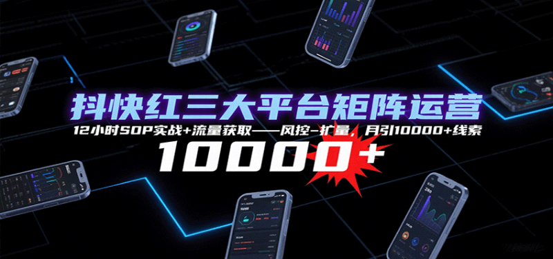 抖快红三大平台矩阵运营,12小时SOP实战+流量获取-风控-扩量,月引10000+线索-老吴出海笔记
