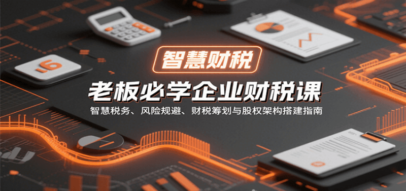 老板必学企业财税课:智慧税务、风险规避、财税筹划与股权架构搭建指南-老吴出海笔记