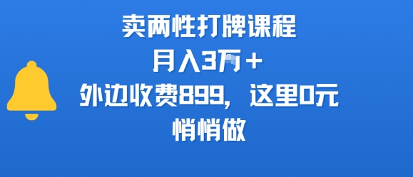 卖两性打牌课程,月入3W+外边收费899的课程,这里0元,悄悄做-老吴出海笔记