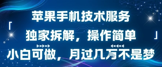苹果手机技术服务,独家拆解,操作简单,小白可做,月过1W不是梦-老吴出海笔记