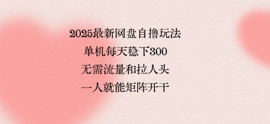2025最新网盘自撸玩法,单机每天稳下3张,无需流量和拉人头,一个人就可轻松矩阵,全网独一份【揭秘】-老吴出海笔记