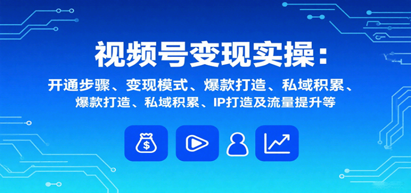 视频号变现实操,含开通步骤、变现模式、爆款打造、私域积累、IP打造及流量提升等-老吴出海笔记