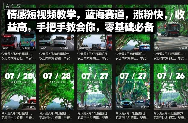 情感短视频教学，蓝海赛道，涨粉快，收益高，手把手教会你，零基础必备-老吴出海笔记