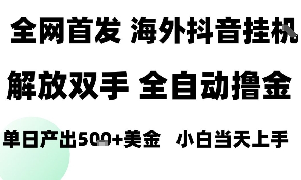 海外抖音无人直播,单日产出1.5k+,长期稳定,新手可玩,无脑操作【揭秘】-老吴出海笔记