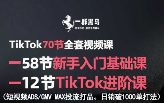 TikTok全套视频课,新手入门+进阶课,短视频ADS-GMV MAX投流打品,日销破1000单打法-老吴出海笔记