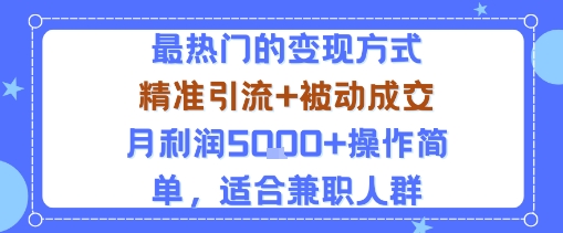 小众赛道玩法:当下最热门的变现方式,精准引流+被动成交月利润5k+操作简单,适合兼职人群-老吴出海笔记