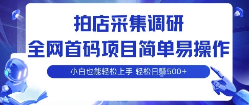 拍店采集调研,全网首码项目,简单易操作, 小白也能轻松上手,多账号操作,轻松日入5张【揭秘】-老吴出海笔记