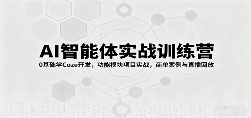 AI智能体实战训练营:0基础学Coze开发,功能模块项目实战,商单案例与直播回放-老吴出海笔记