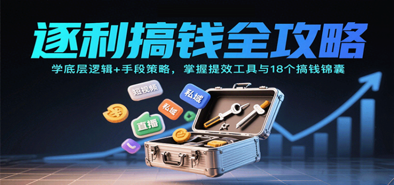 逐利搞钱全攻略：学底层逻辑+手段策略，掌握提效工具与18个搞钱锦囊-老吴出海笔记