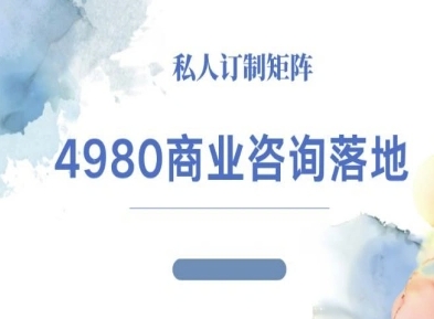 4980商业咨询师落地课程-ip运营高客单教程，单客单价提升300%-老吴出海笔记
