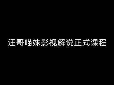 汪哥影视解说正式课程:剪映/PR教学/视解说剪辑5大黄金法则/全流程剪辑7把利器等等-老吴出海笔记