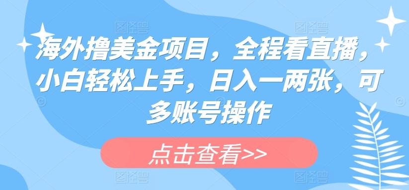 海外撸美金项目,全程看直播,小白轻松上手,日入一两张,可多账号操作【揭秘】-老吴出海笔记
