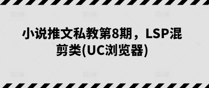 小说推文私教第8期,LSP混剪类(UC浏览器)-老吴出海笔记