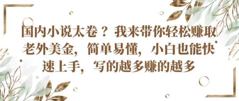 国内小说太卷 ?带你轻松赚取老外美金，简单易懂，小白也能快速上手，写的越多赚的越多【揭秘】-老吴出海笔记
